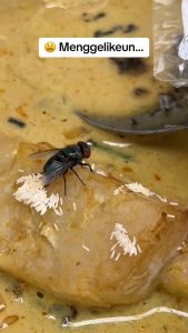 Pengusir lalat spray anti lalat produk ORIGINAL DOTAL