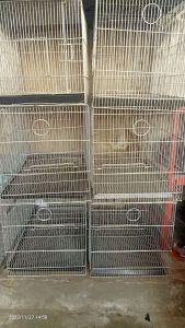 BirdCage Collapsible Single