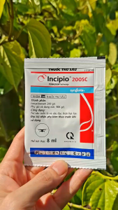 [VTNN TIEN KHOA] Thuốc trừ sâu INCIPIO 200SC Syngenta gói 8ml trừ sâu cuốn lá sâu đục thân lưu dẫn kéo dài