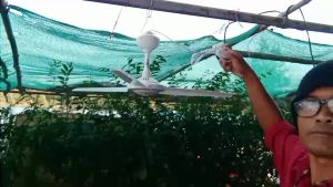 พัดลมไล่แมลงวัน