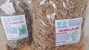 Cỏ sữa lá lớn sấy khô [1kg] TẶNG [100g] cỏ ngọt - lợi sữa  tốt cho bà bầu và sau sinh