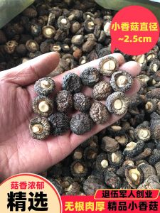Premium Small Dried Mushrooms 500g Bulk Packaged Specialty Commercial Pearl Mushrooms Small Money Mushrooms Flavorful Edible