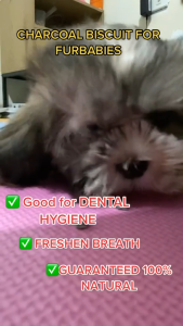 200g Dental Hygiene Charcoal Dog Biscuit Treats All Stages Adult Puppy Dogs Food Snack Pet Plus