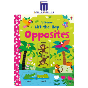 Usborne Lift-the-flap Opposites Board book by Melisande Luthringer Original English books