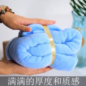 DailyGo 2in1 Towel Set: A Comprehensive Guide