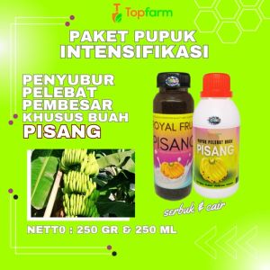 Pupuk Penyubur Pohon Pisang / Pupuk Pisang Cepat Berubah / Pupuk Pembesar Buah Pisang / Pupuk Khusus Pohon Pisang / Pupuk Pelebat Buah Pisang