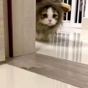 Pet Costumes Lion Headgear Cute Little Hat Rabbit Ears Cat Pet Funny Wig Christmas Dress Up Holiday Decoration