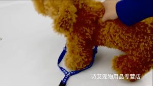 MEOW Dog Cat Harness Collar Leash Safety Traction Rope Tali Kucing Leher Cat Rantai Kucing Pet Harness Cat Accessories