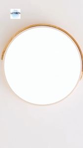 Modern wooden LED ceiling light with three color dimming intelligent remote control living room light center light