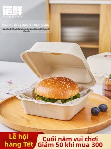 NUOXIAN | Biodegradable Paper Pulp Disposable Lunch Box