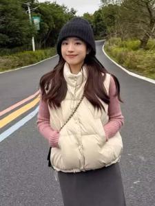 Korean Style Stand Collar Sleeveless down Cotton Vest Womens Winter New Loose Versatile Short Top Small Size Commute