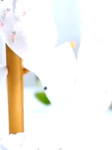 Ultra Mesh Set Floral Kid Socks Children Low Cut School Ankle Soft Lace Breathable Cotton For Girls MK