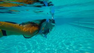 New Full Face Diving Mask with Upgraded Breathing System Anti-fog Anti-Leak Snorkel Mask Snorkeling Gear For Adult Swimming Dive