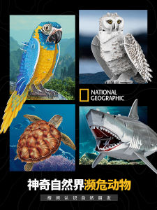 3D Sticker Animal Model Educational Toys Creative Cultural Turtle Shark Parrot Owl Geographical Snow Leopard CubicFun Puzzle