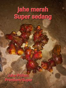 JAHE MERAH SEGAR 1KG SEDANG SEGAR FADHILASHOP