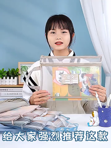 A4 Mesh Storage Organizer - Double-Layer Transparent Zipper Bag Large Capacity File & Cosmetic Organizer with Reinforced Nylon Multi-Use Document Folder