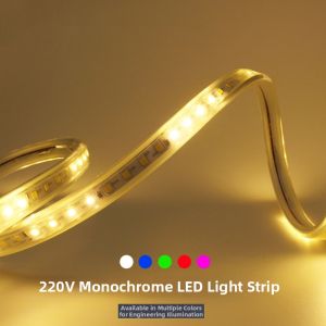 YUANMUXUAN | LED Dynamic Outdoor Waterproof 220V Indoor Decoration Light Strip