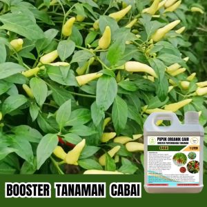 Pupuk Cabai Booster Agar Berbuah Lebat Dan Anti Rontok Organik Cair 1 Liter Jagotani Yogyakarta
