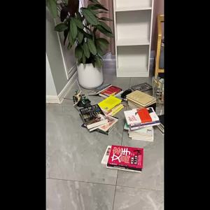 Multi-level Gap Corner Home Bookshelf