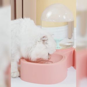 Pakeway Bộ chén Ăn bình Uống Măng Cụt 2L cho chó mèo Mangosteen