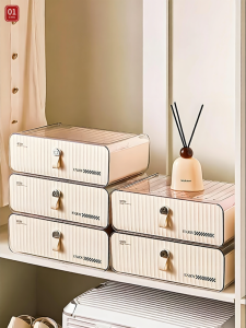 Underwear Storage Organizer Drawer Type