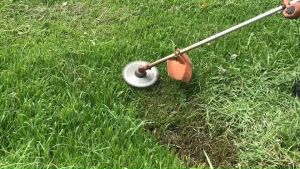 ใบตัดหญ้า วงเดือน | 10 นิ้ว | ราคาสุดคุ้ม | ถูกและดี