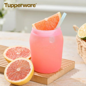 Tupperware | Attractive Portable Sports Water Bottle 550ml