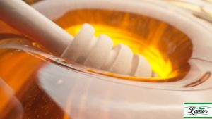 Wild Raw Honey - LAMOR Multifloral Honey 230 g