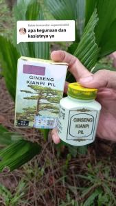 Obat Penggemuk Badan Ampuh Kianpi Pil Vitamin Penambah Berat Badan Obat Penambah Nafsu Makan Dewasa