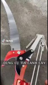 Đầu kéo tỉa cành cắt cành cây trên caohái quả  kết hợp cưa cành lưỡi thép SK5