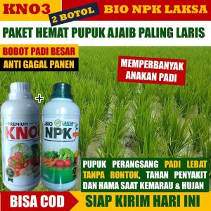 PAKET 2 BOTOL NPK LAKSA & KNO3 PREMIUM OBAT PELEBAT ANAKAN PADI Paling Ampuh ANAKAN PADI Tanpa Hama Dan Penyakit Kuat Di Musim Hujan Pupuk Lengkap Anti Hama padi Tumbuh Subur Anti Kerdil Rumput Obat Semprot Padi Terbaik Anti Kresek dan Merah Padi