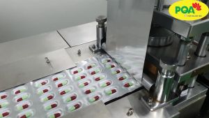 PQA Mộc Qua dùng cho người bị đau nhức xương khớp gân cơ co rút do phong hàn