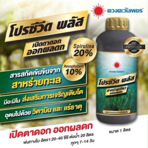 สาหร่ายเร่งดอก โปรซีวีดพลัส 1L (ดวงตะวันเเพชร)