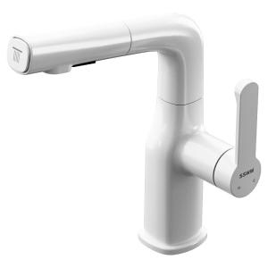 SSWW | Gunmetal Adjustable Showerhead with Pull-Out Sprayer