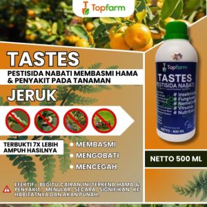 Obat Untuk Tanaman Jeruk: Solusi Hama & Pembesar Buah