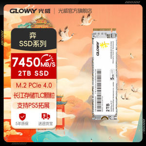 Gloway Yi Series 512g 1t 2t Solid State Drive SSD M.2 PCIe4.0 for PS5 Laptops Desktops High Speed Storage Computer Hardware