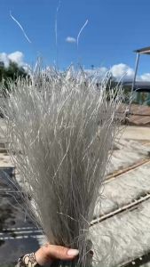 (2.5KG) MIẾN DONG THÁI TAY SỢI NHỎ ĐIỆN BIÊN