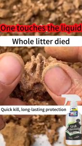 500g Kill all cockroach and ants Van Termite killer Termite Spray anai anai Termite treatment Quickly clear all ants