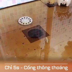 [HCM][Hộp Lớn] Bột Thông Cống Đường Ống Bồn Cầu Bồn Rửa Mặt ( LOẠI TO 320G )