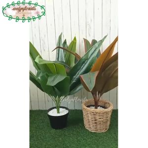 Pohon Artificial Daun Kunyit Hijau & Cokelat Pot Dasar Hitam Cover Rotan Bulat Dekorasi Ruang Aesthetic
