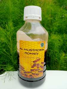 Madu Hutan 100% Murni Tanpa Royal Jelly dan lainnya ukuran 1KG