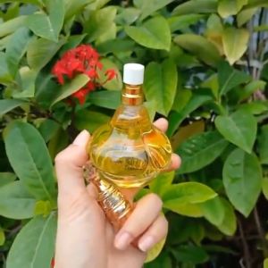Nước hoa nữ Công ty Vipa 21 hương phấn nhẹ diu 50ml lưu hương tốt