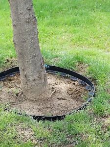 ขอบกันดิน 15เมตร ( พร้อมตะปู) วัสดุ PE สูง5/10ซม Garden Edging ใช้10ปีไม่เสีย ที่แบ่งดิน ขอบกั้นดินจัดสวน จัดสวน ขอบกั้นดินสวน กั้นหญ้าและหิน ที่แบ กันหิน กันหญ้า ที่กั้นดิน (จัดส่งจากประเทศไทย)