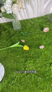 ＜1202＞ ckcu Whitening and Freckle Removing Cream High Moisturizing Hydrating and Nourishin Fading Khaki Whitening 377 Freckle Cream Genuine Goods