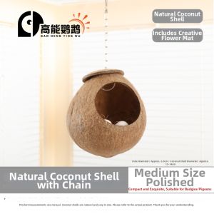 Coconut Shell Bird Nest Four Seasons