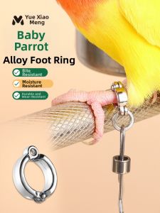 YUEXIAOMENG | Adjustable Lightweight Parrot Leg Ring