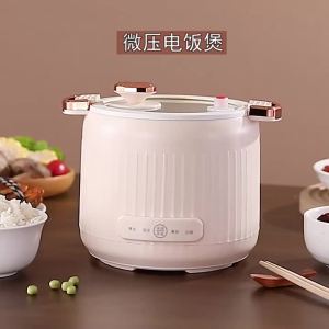 ZHUOLESHI | Smart Multifunctional Small Rice Cooker