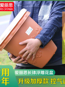 IRIS SUNFLOWER Long Bowl Flowerpot Environmental-Friendly Resin Gardening Florals Green Plant Flowering Species Kitchen Sink Alice Minimalist