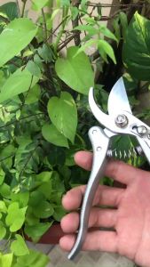 Kéo Cắt Tỉa Cành SK5 Nhật Bản Làm Vườn Cây Cảnh Bonsai Sắc Bén Mạnh Mẽ Cao Cấp