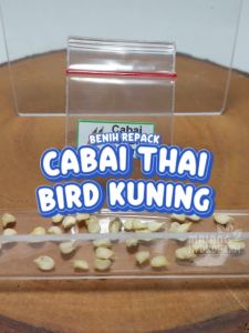 Benih Cabai Thai Bird Kuning Unggulan Berkualitas biji bibit repack rawit thailand burung peper pepper pedas pedes hydroponik hidroponik tanaman berbiji pot
